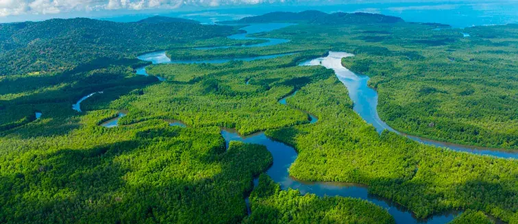 Parque Nacional Corcovado