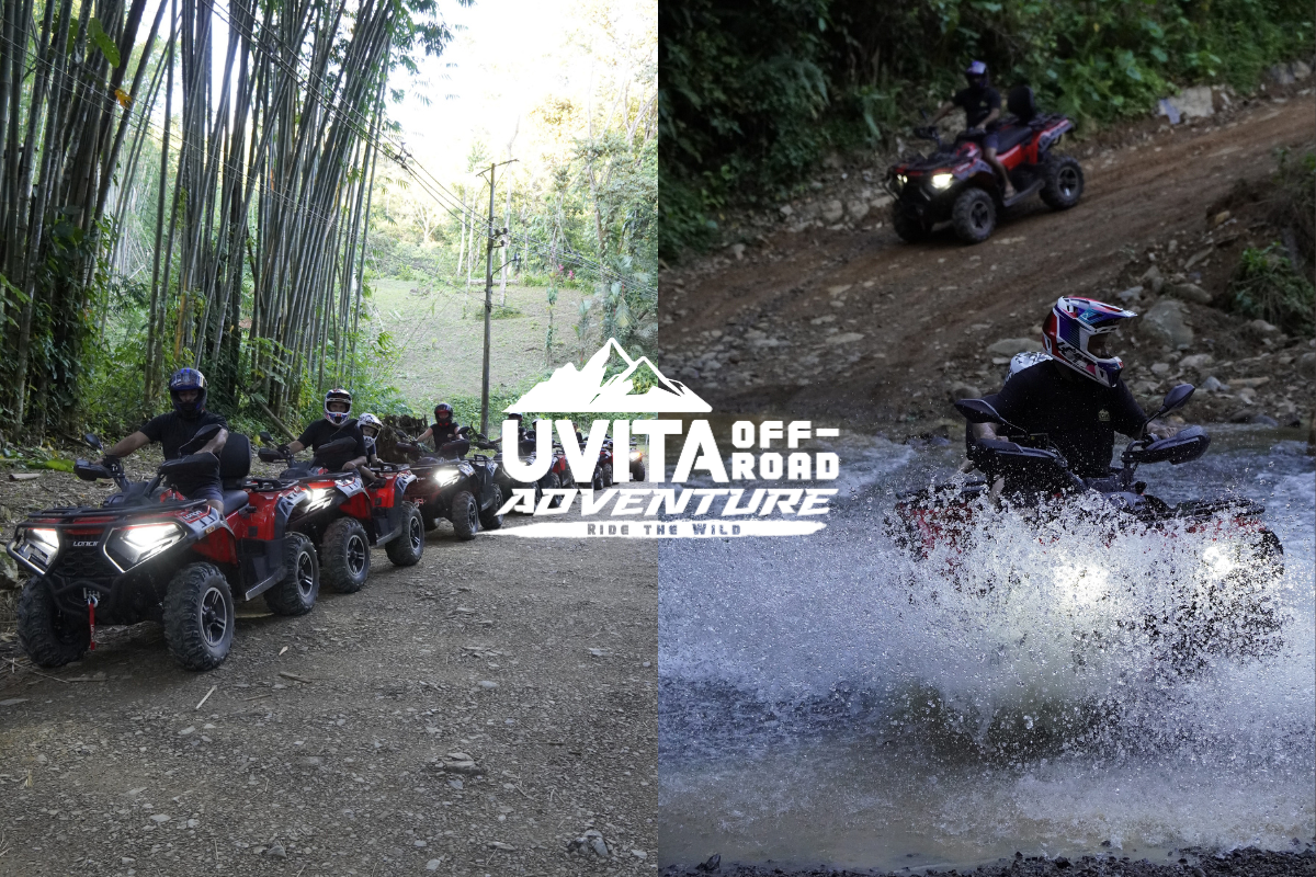 Wild Sunrise Expedition