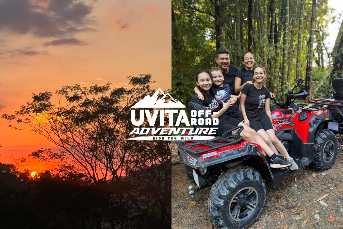 Wild Sunset Expedition